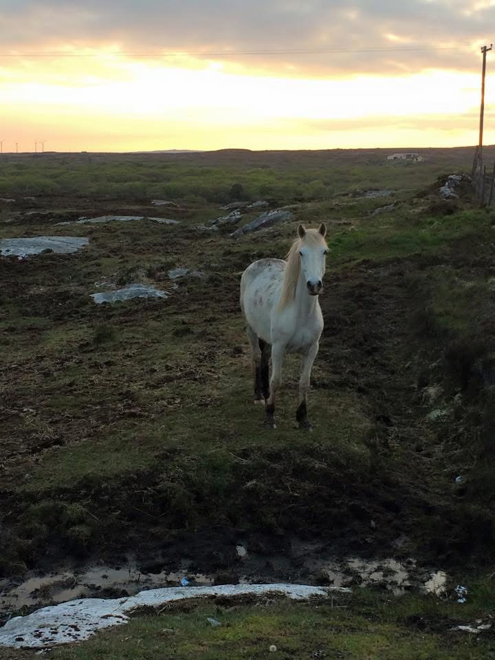 Travel to Ireland (2015)
